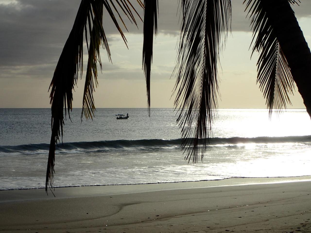 Morrillo Beach Eco Resort Exterior foto