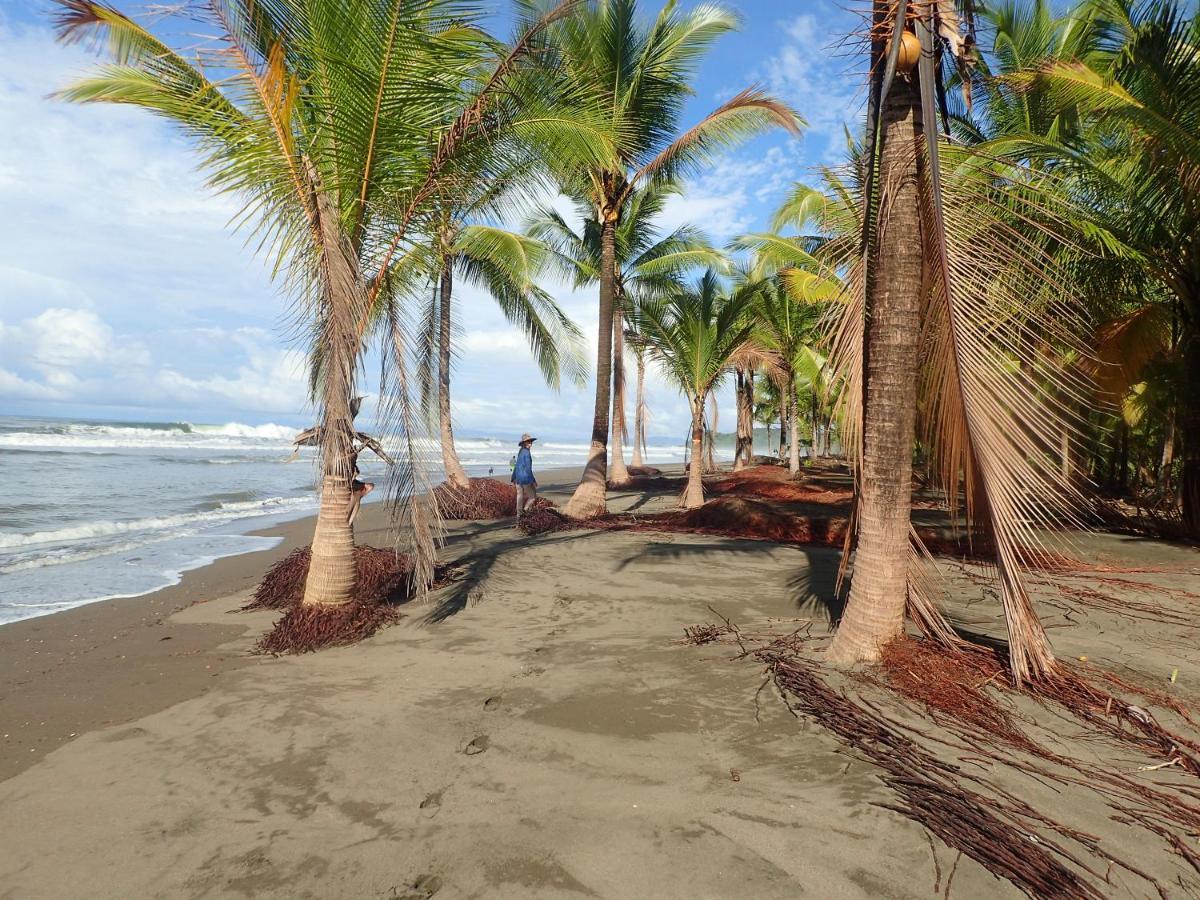 Morrillo Beach Eco Resort Exterior foto
